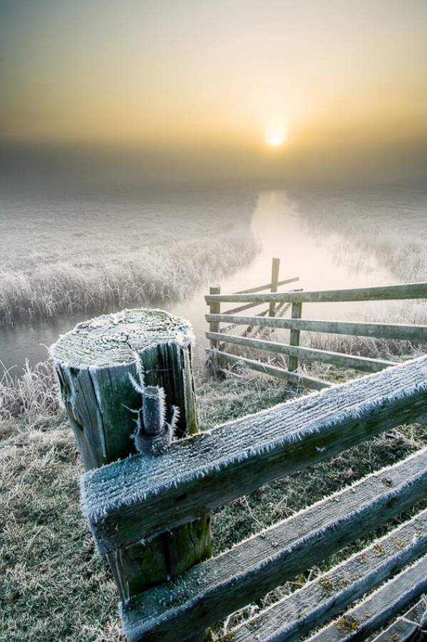Winter sunrise, Elmley