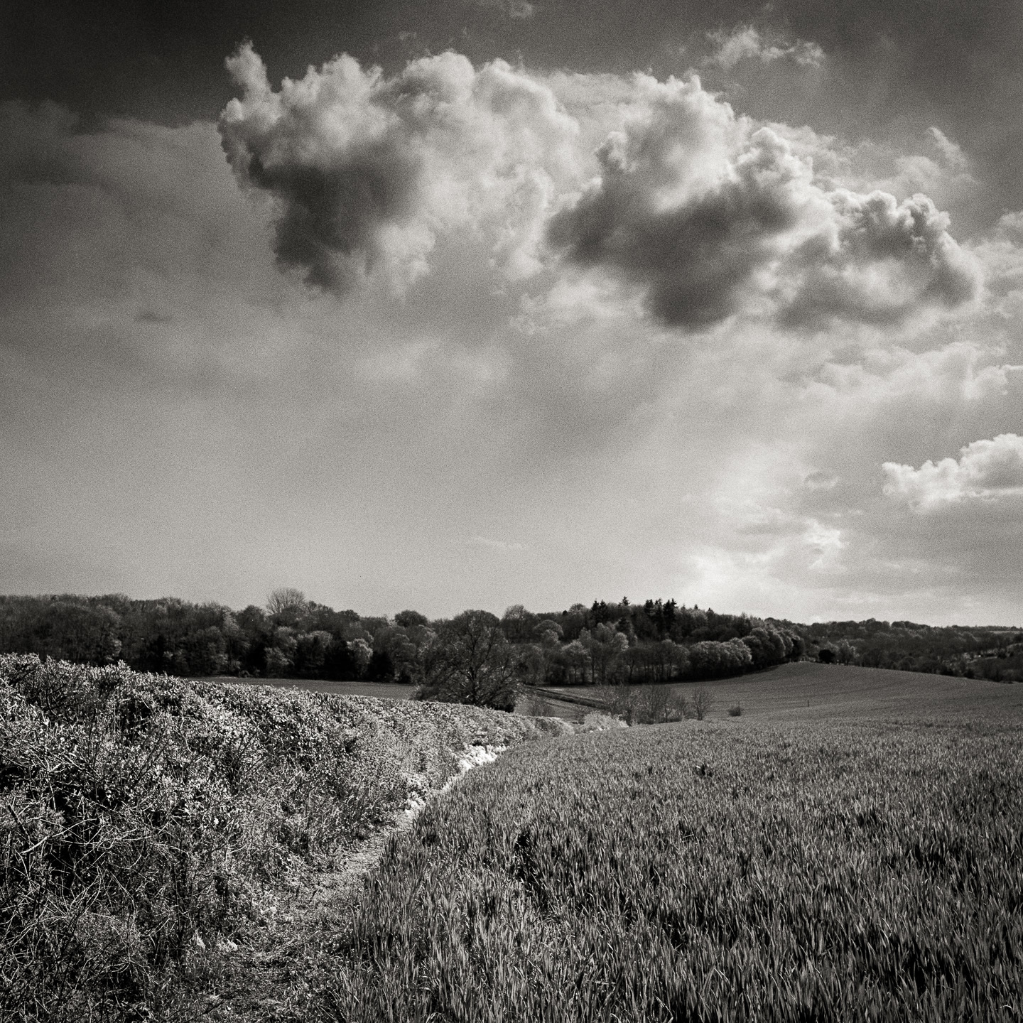 cloudscape scout hut hill