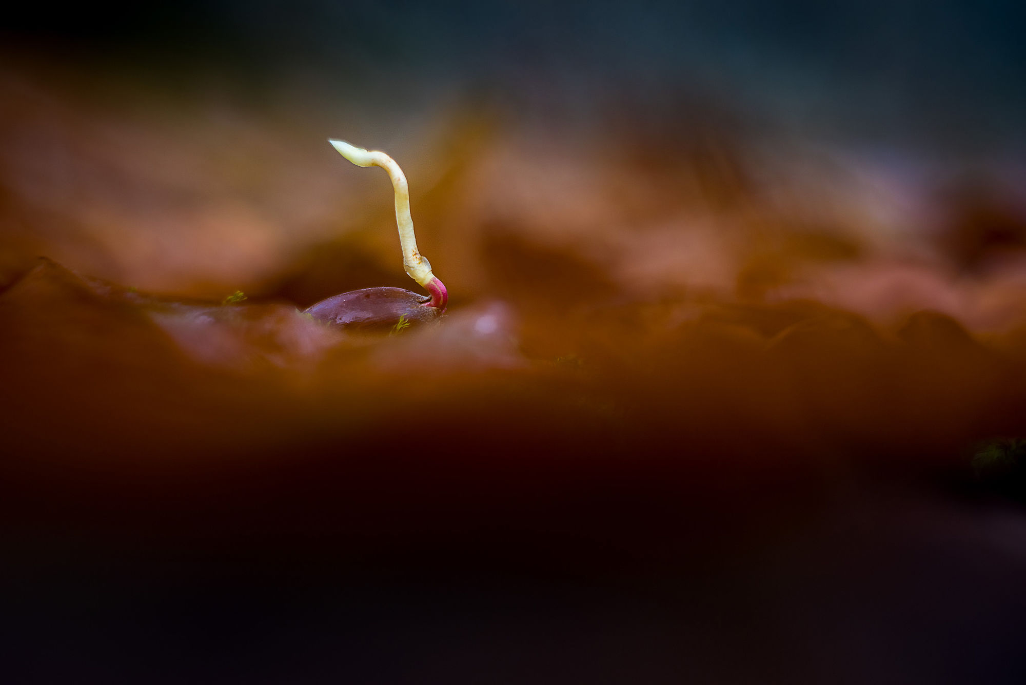 One