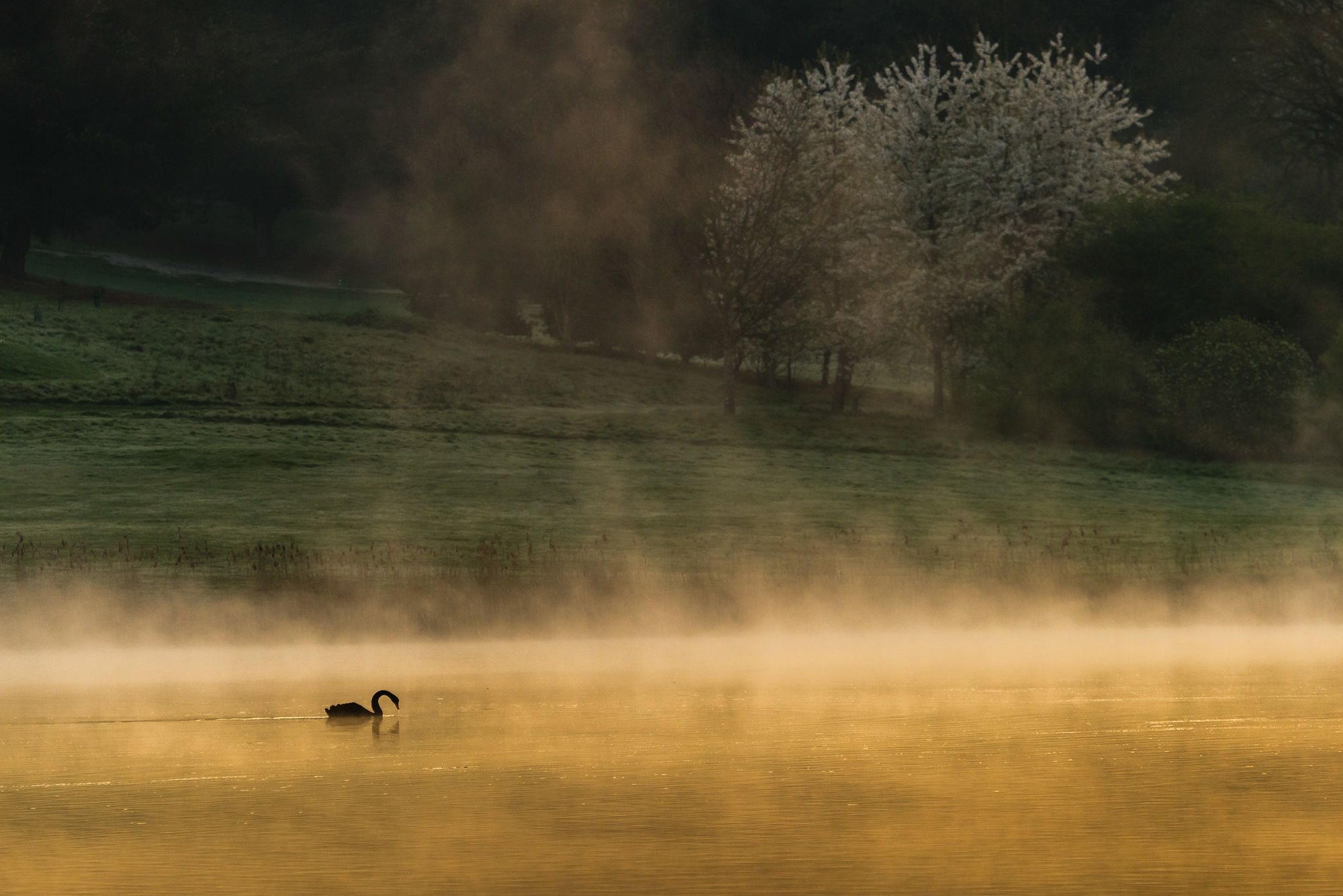 Leeds Castle