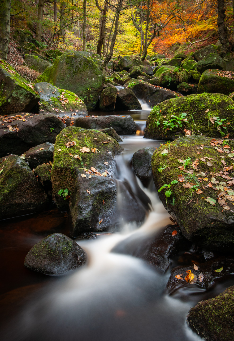 padley w/a