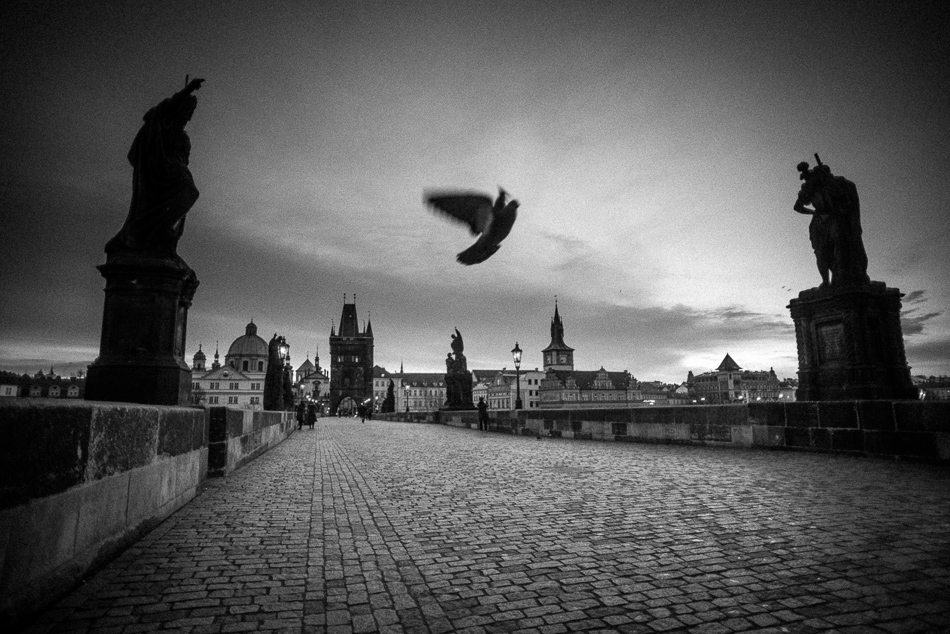 Charles Bridge at dawn in black and white Prague, Czech Republic