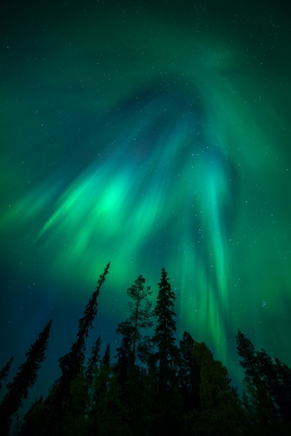 Northern Lights, Finland #17
