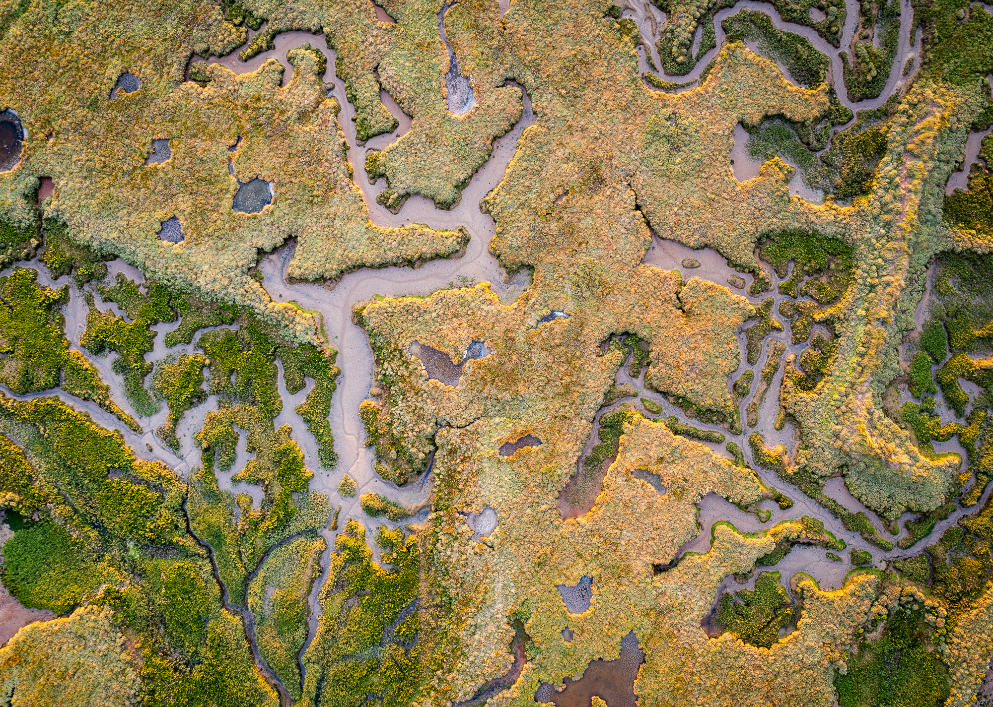Drone saltmarsh