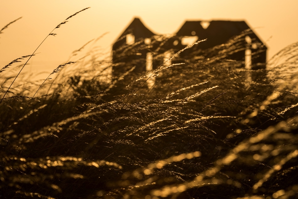 Grasses and fisherman's hut at sunset Dungeness, Kent