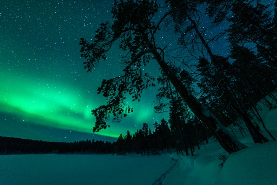 Northern lights over Lemmenjoki National Park #3