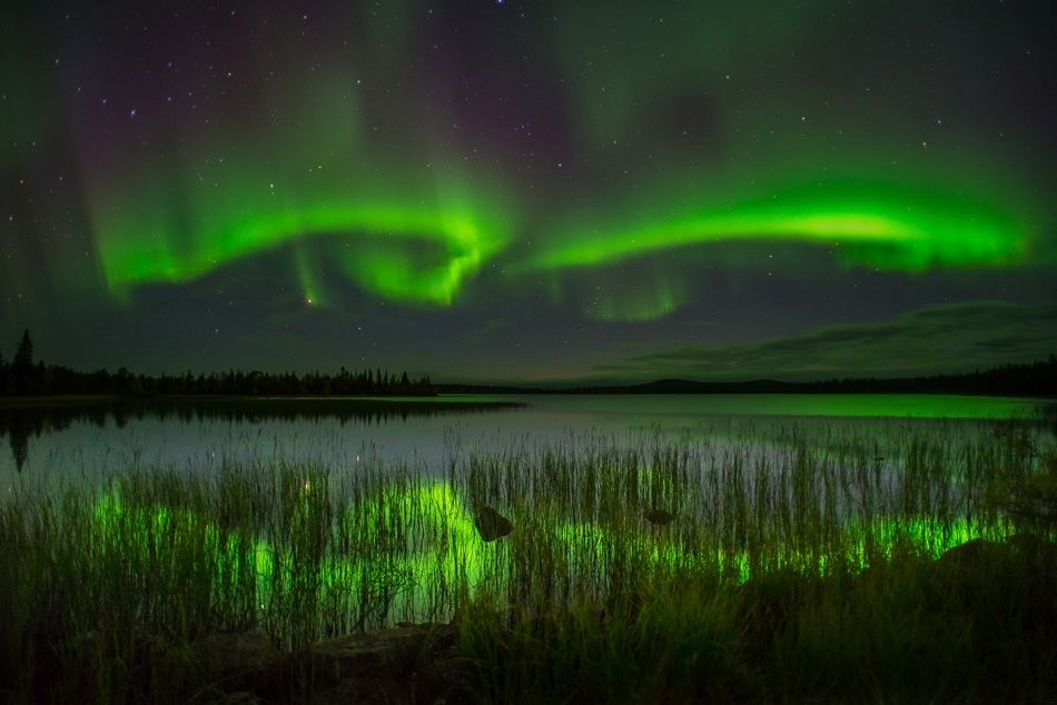 Northern Lights, Finland #5