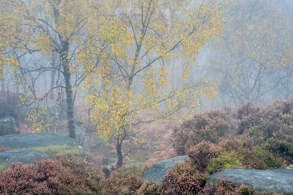 Autumn dawn Peak District