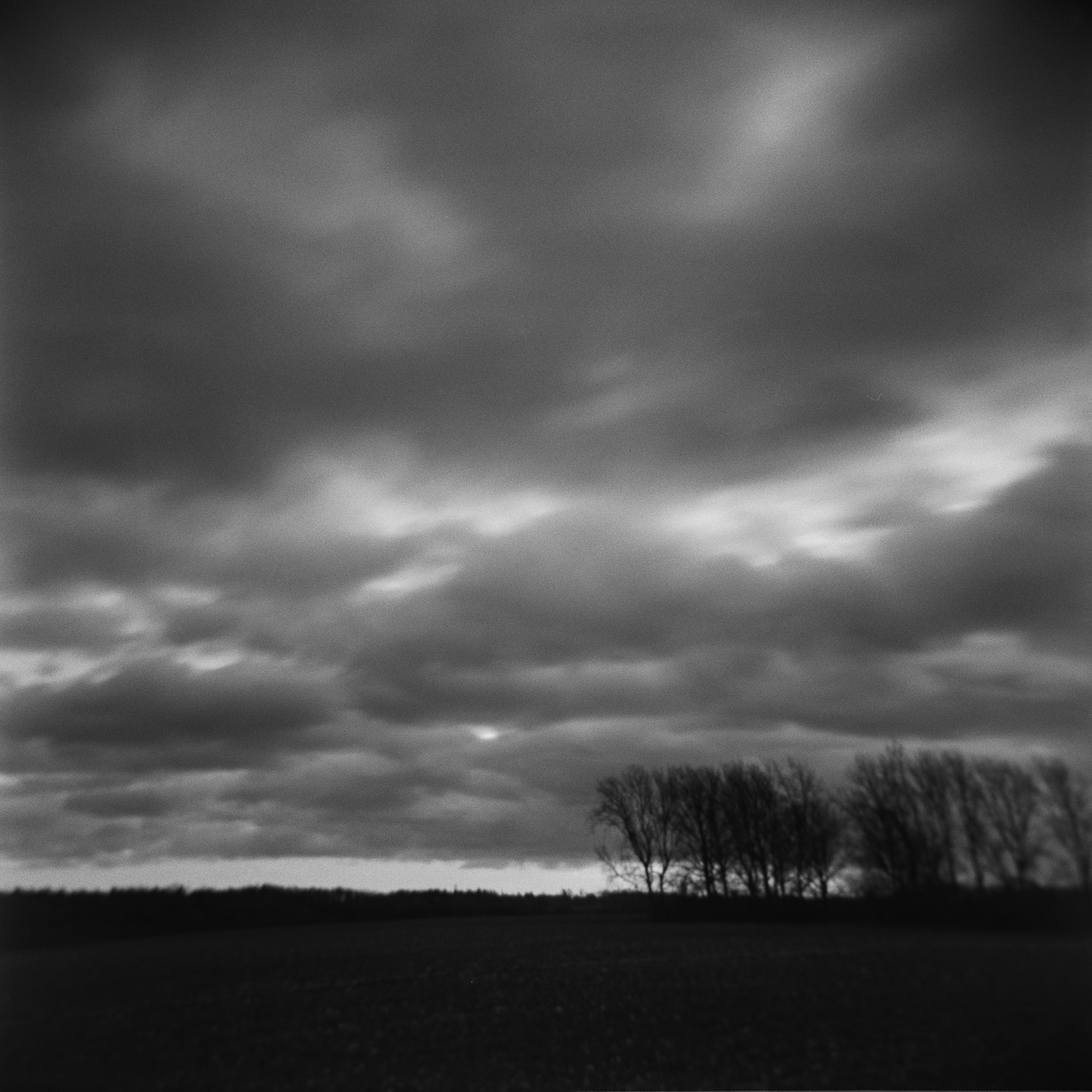 Copse