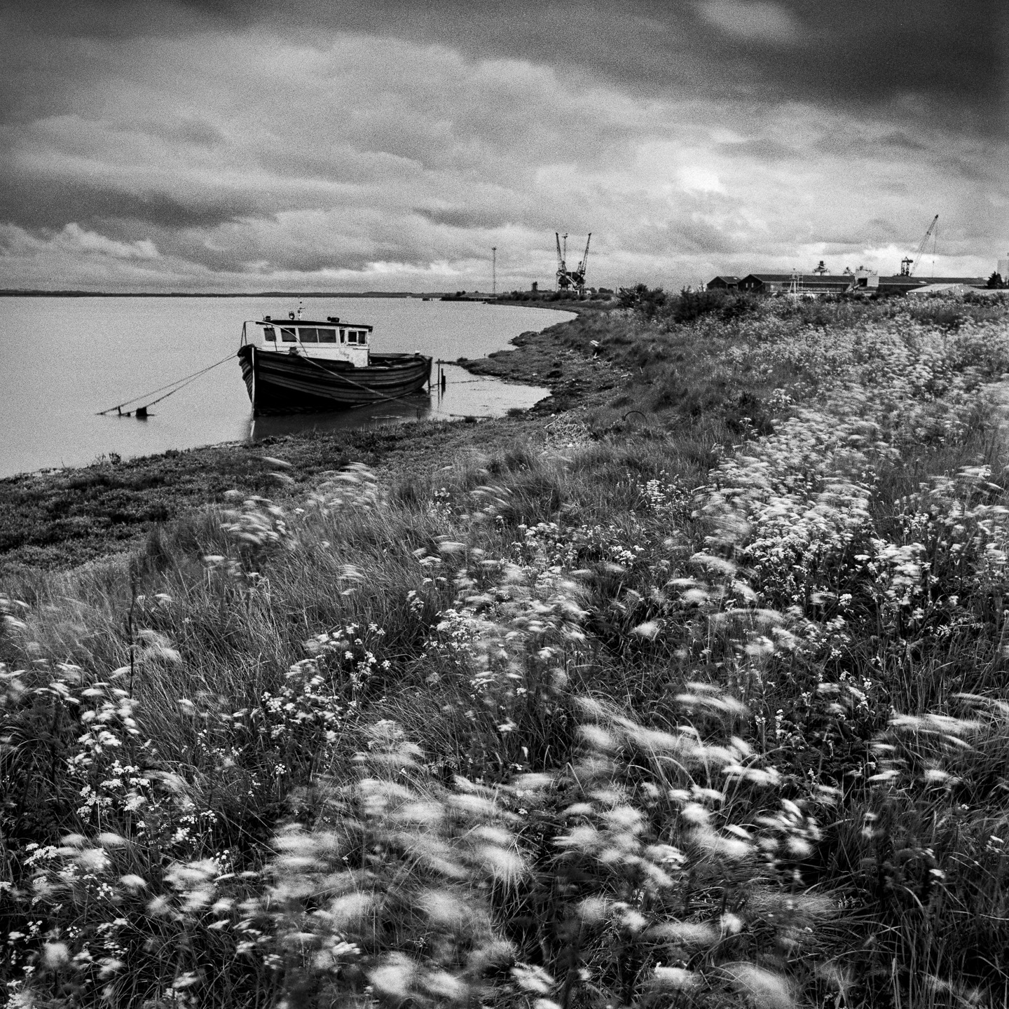 Boat flowers