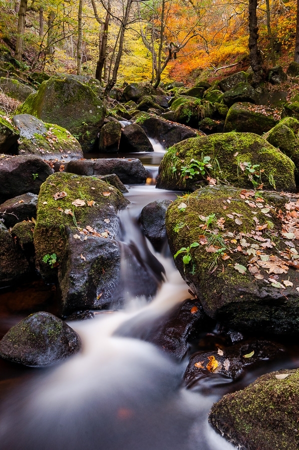 Padley Gorge waterfall in autumn Dark Peak, Peak District