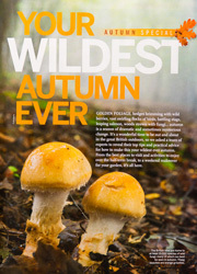 BBC Wildlife - full page
