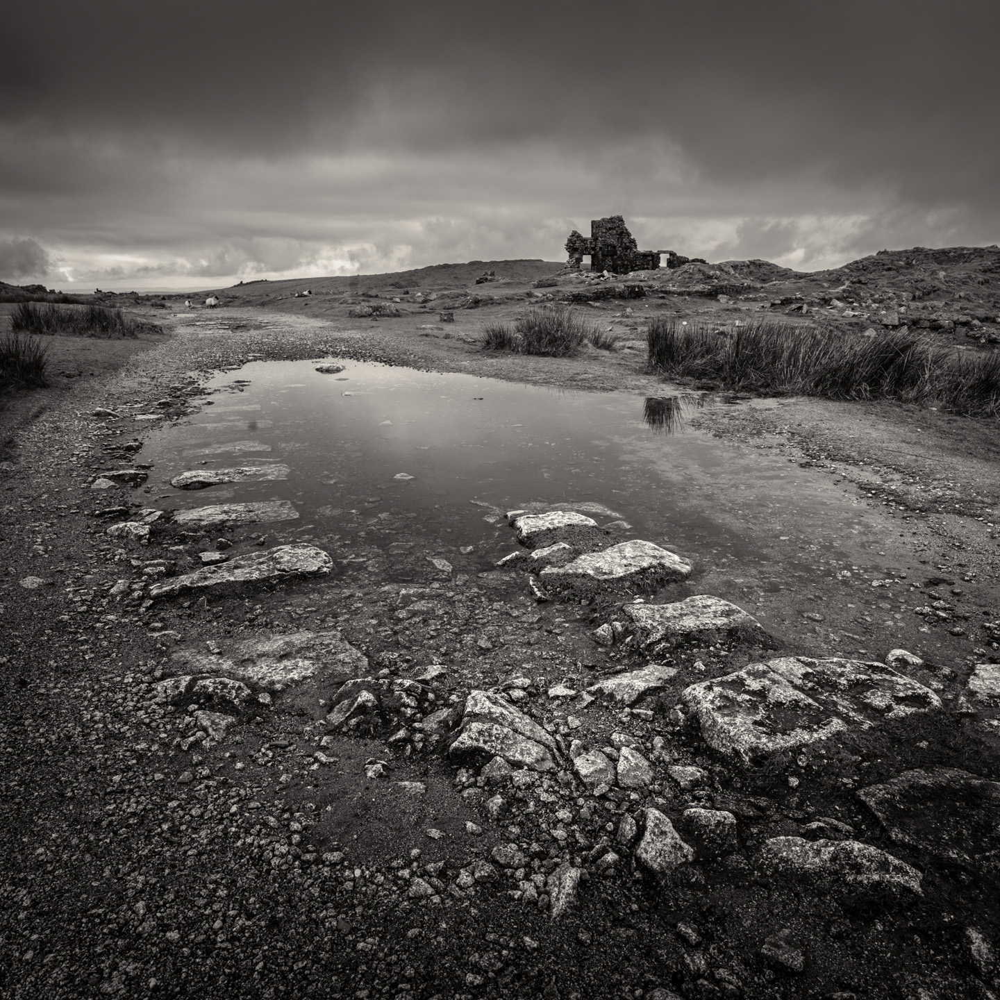 quarry puddle