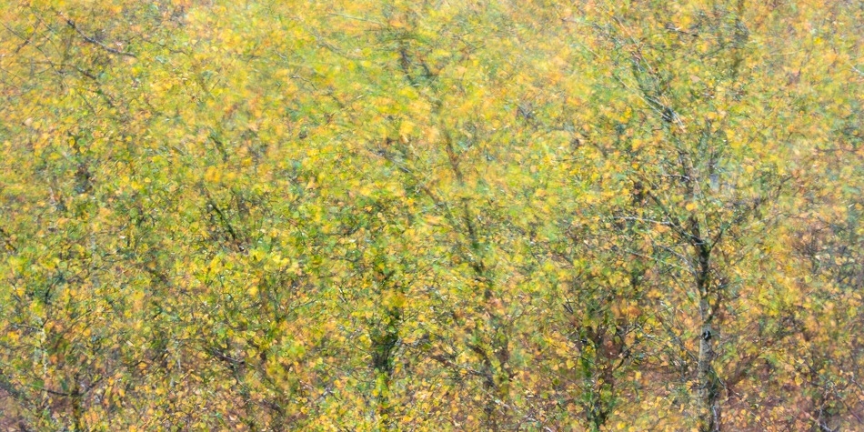 Mosaic Peak District