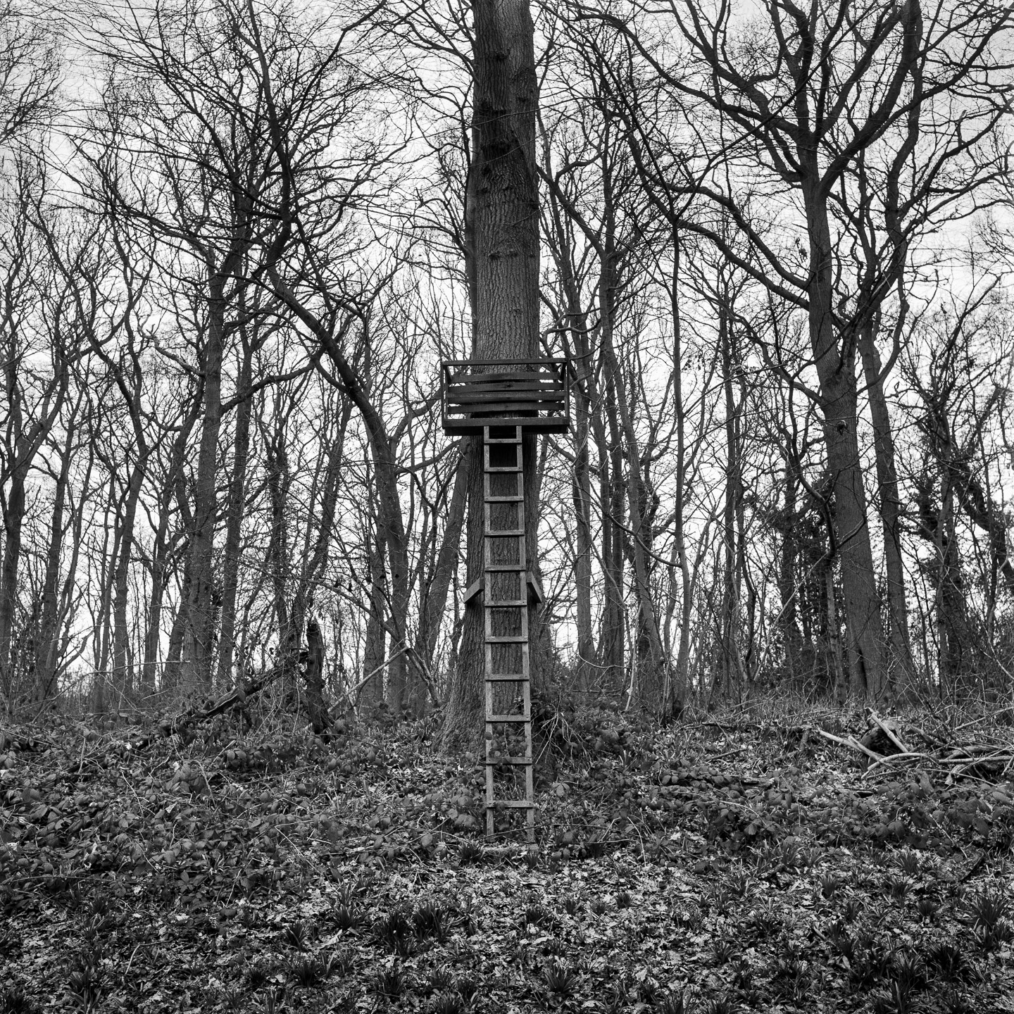 High seat