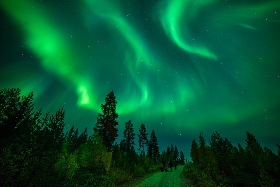 Northern Lights, Finland #15
