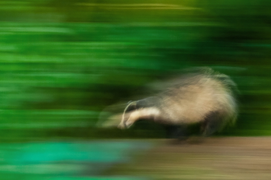 On the run