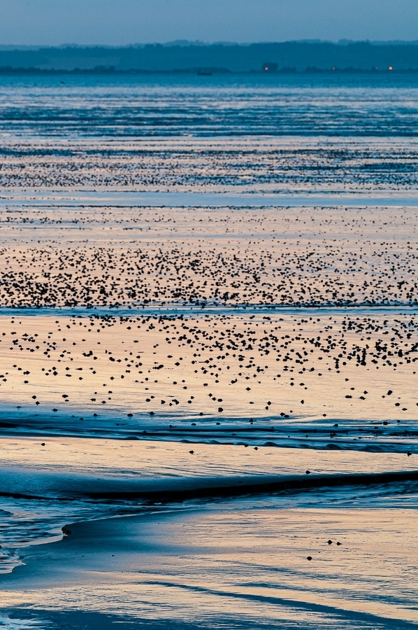 Low tide sunset Dungeness, Kent