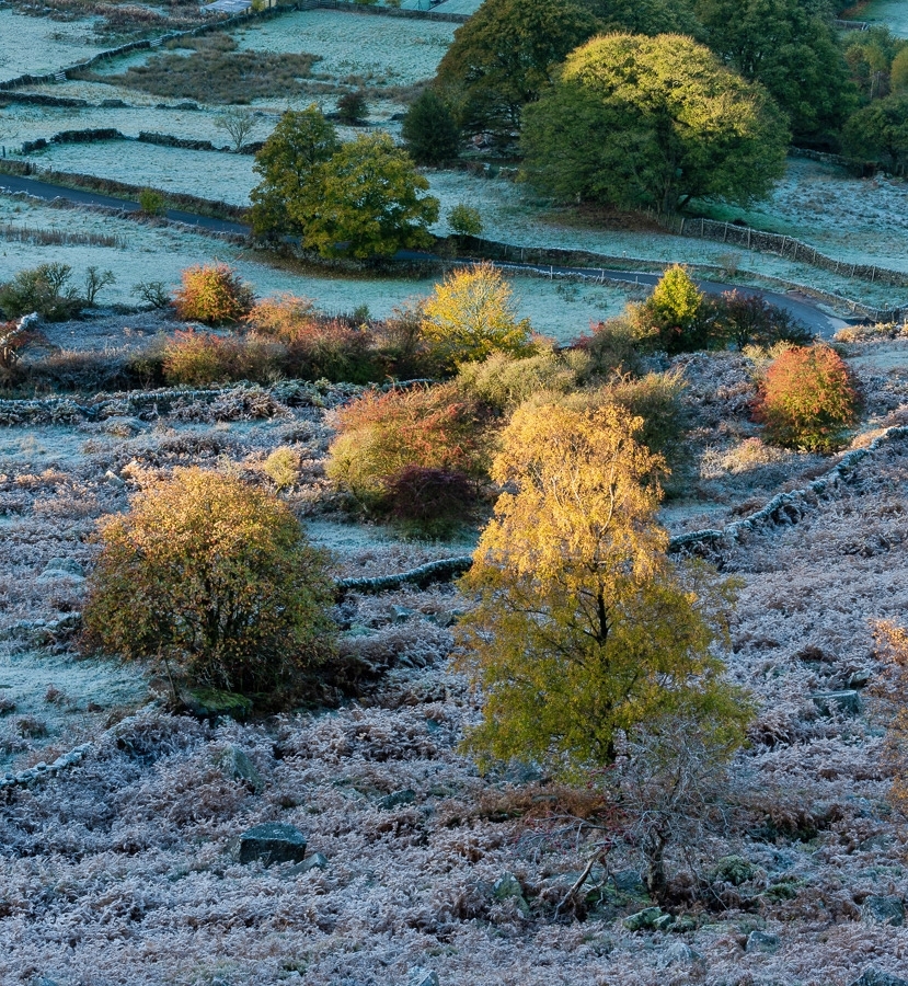 Valley frost Peak District