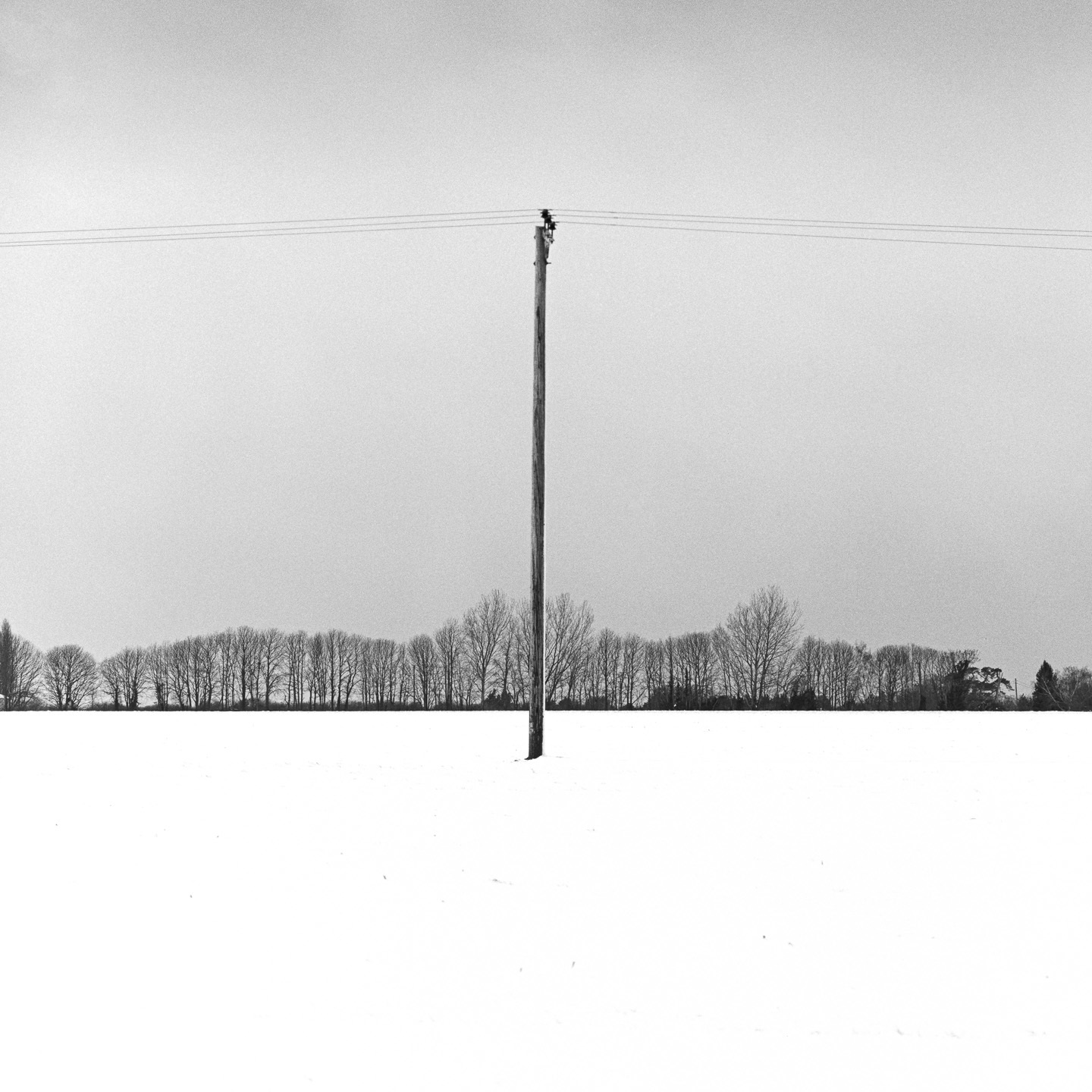 telegraph post snow