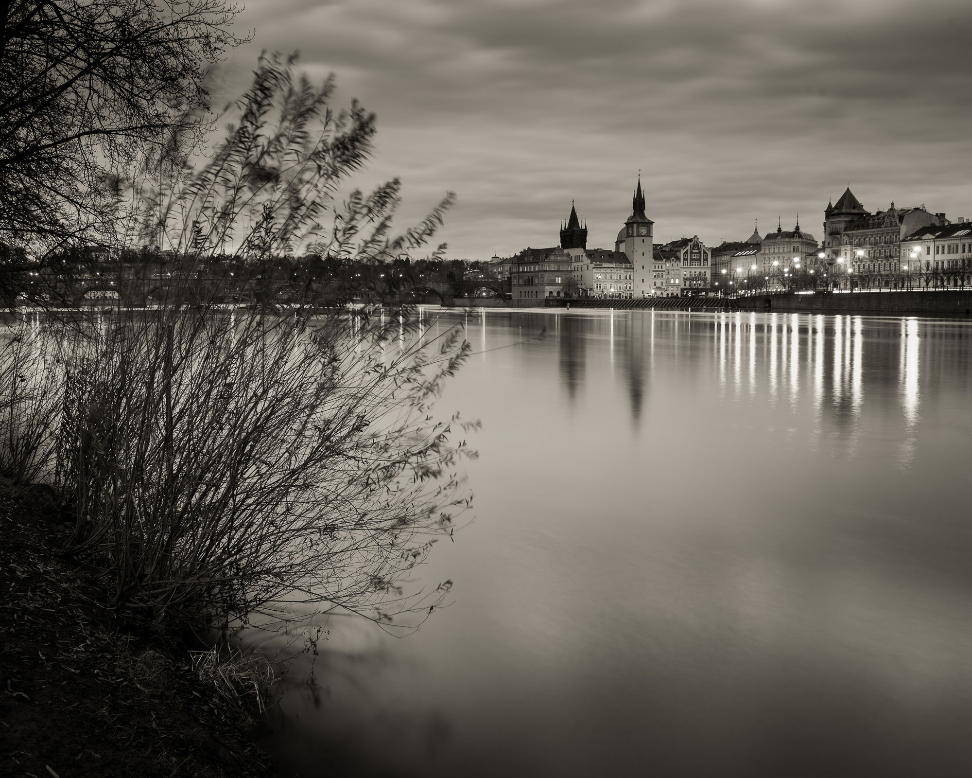 Prague grasses