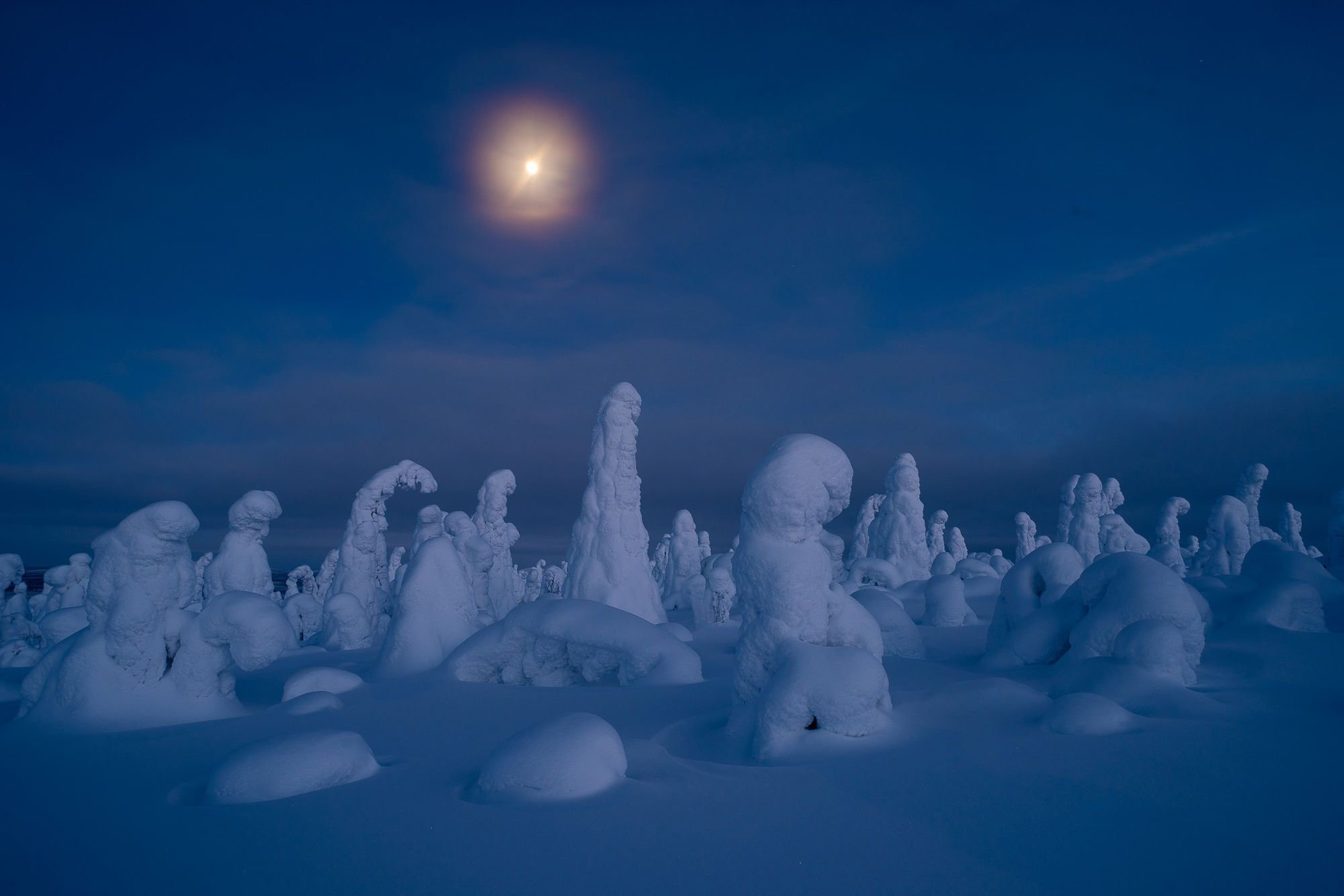 winter tykky moon