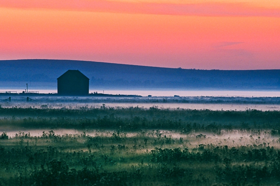 Rose cottage at sunset