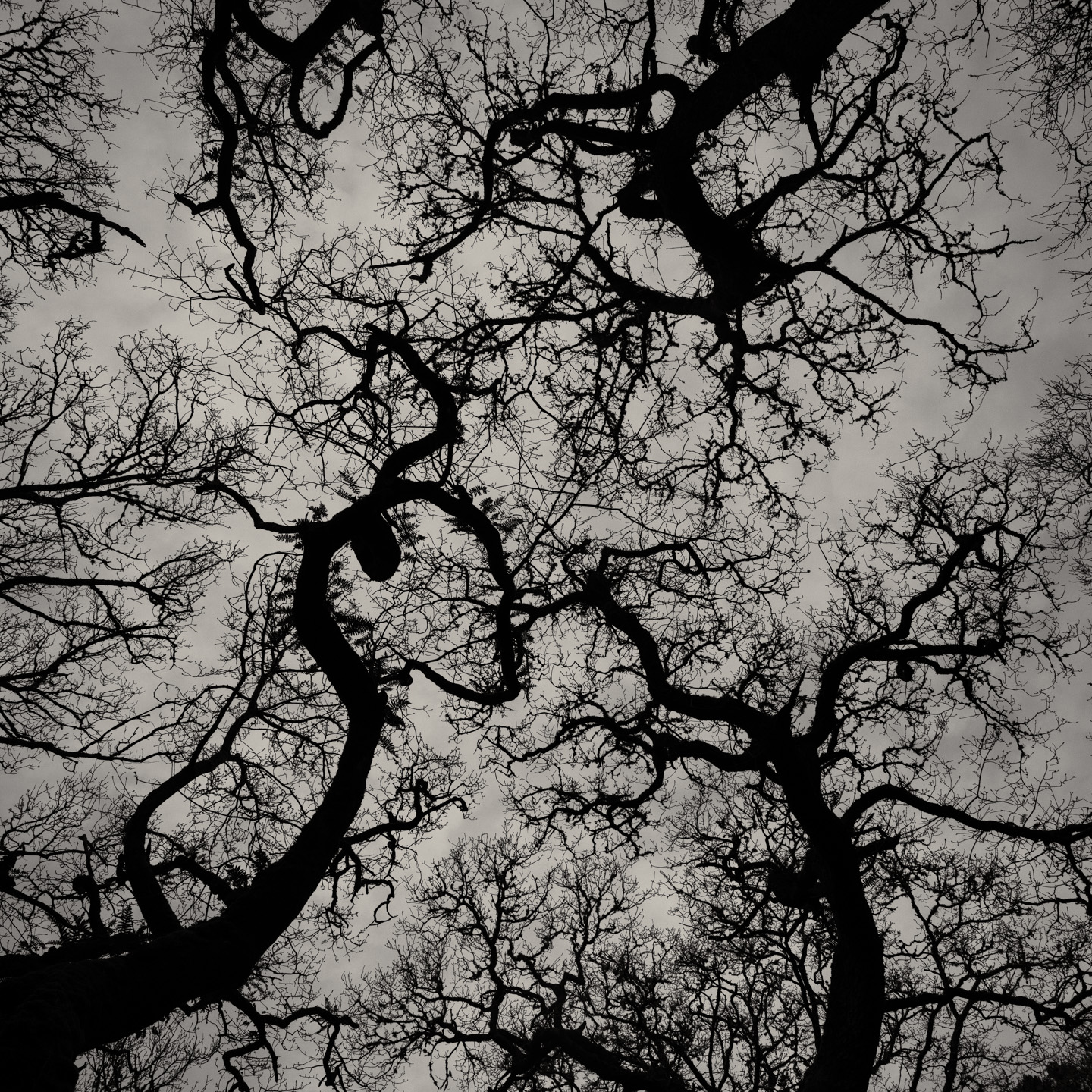 Looking up