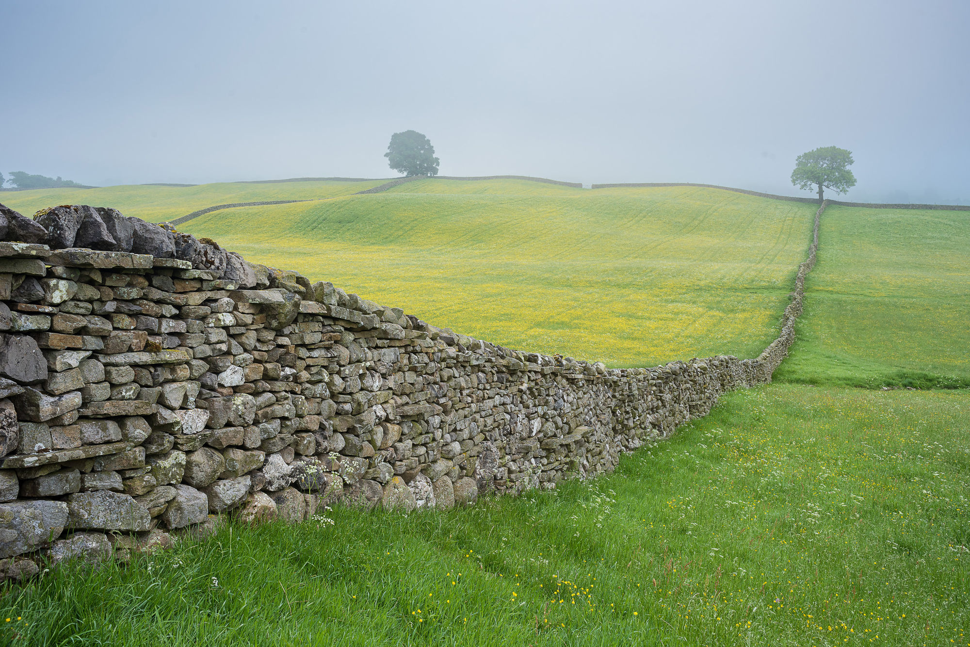 Hawes wall