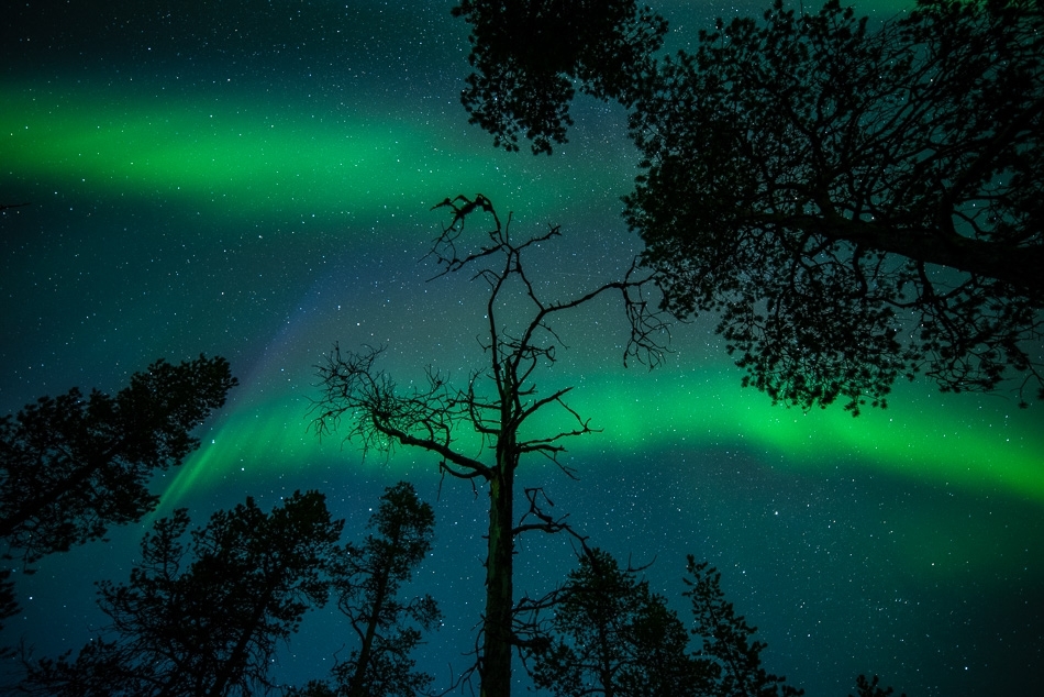 Northern Lights, Finland #16