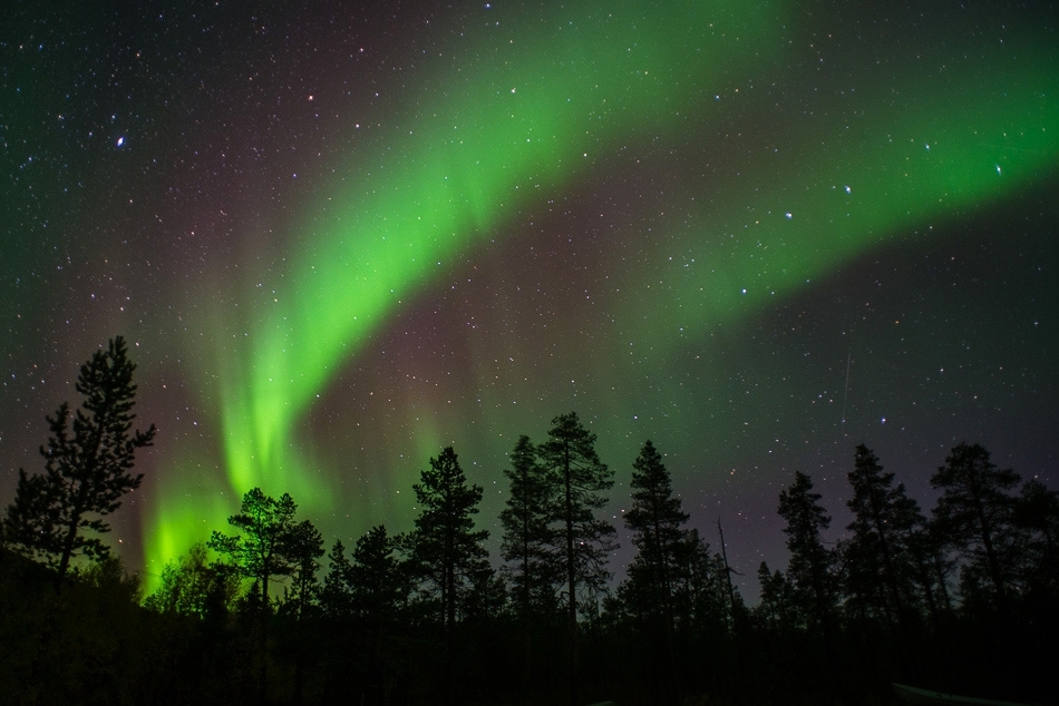 Northern Lights, Finland #9