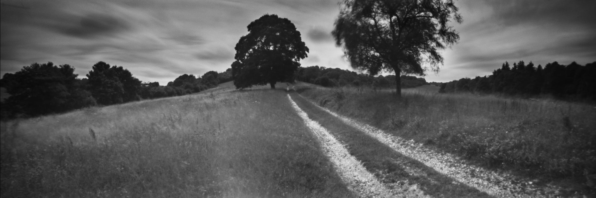 Track