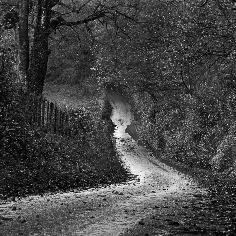 Lanes