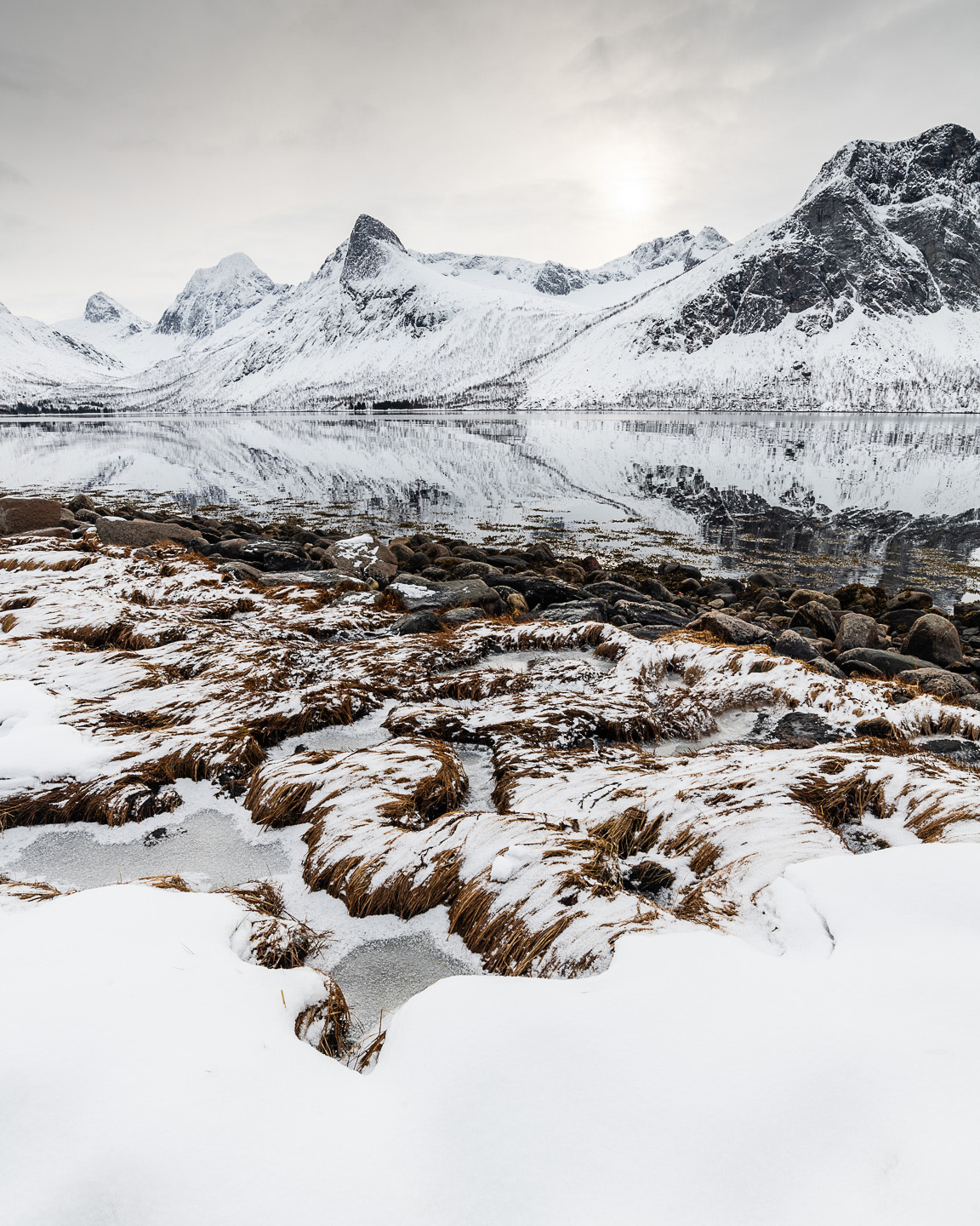 Senja winter upright