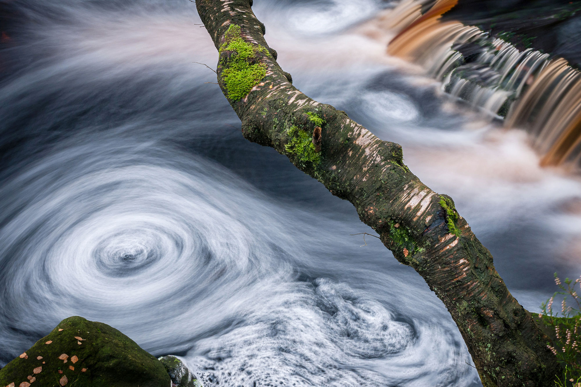 	PD flow swirl branch