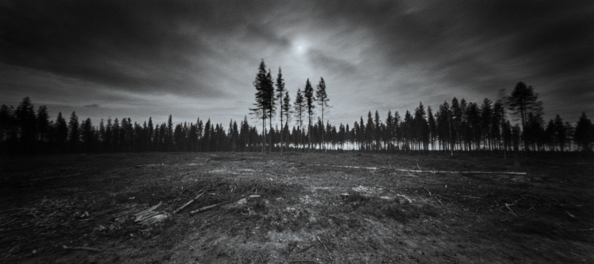 Finland deforest