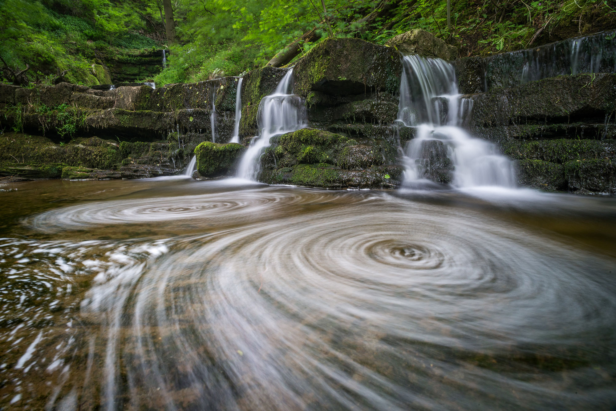 Scaleber swirls