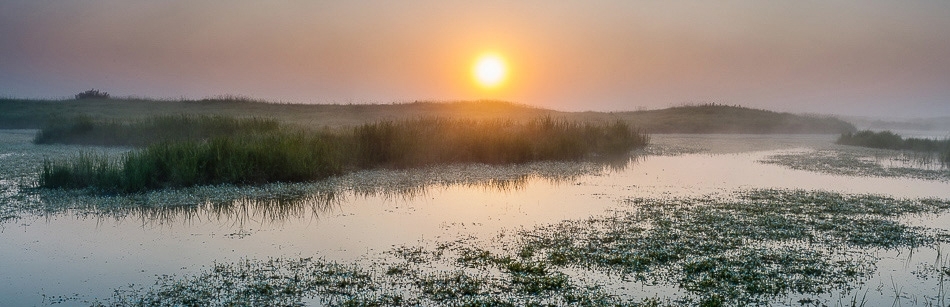 Spring mist