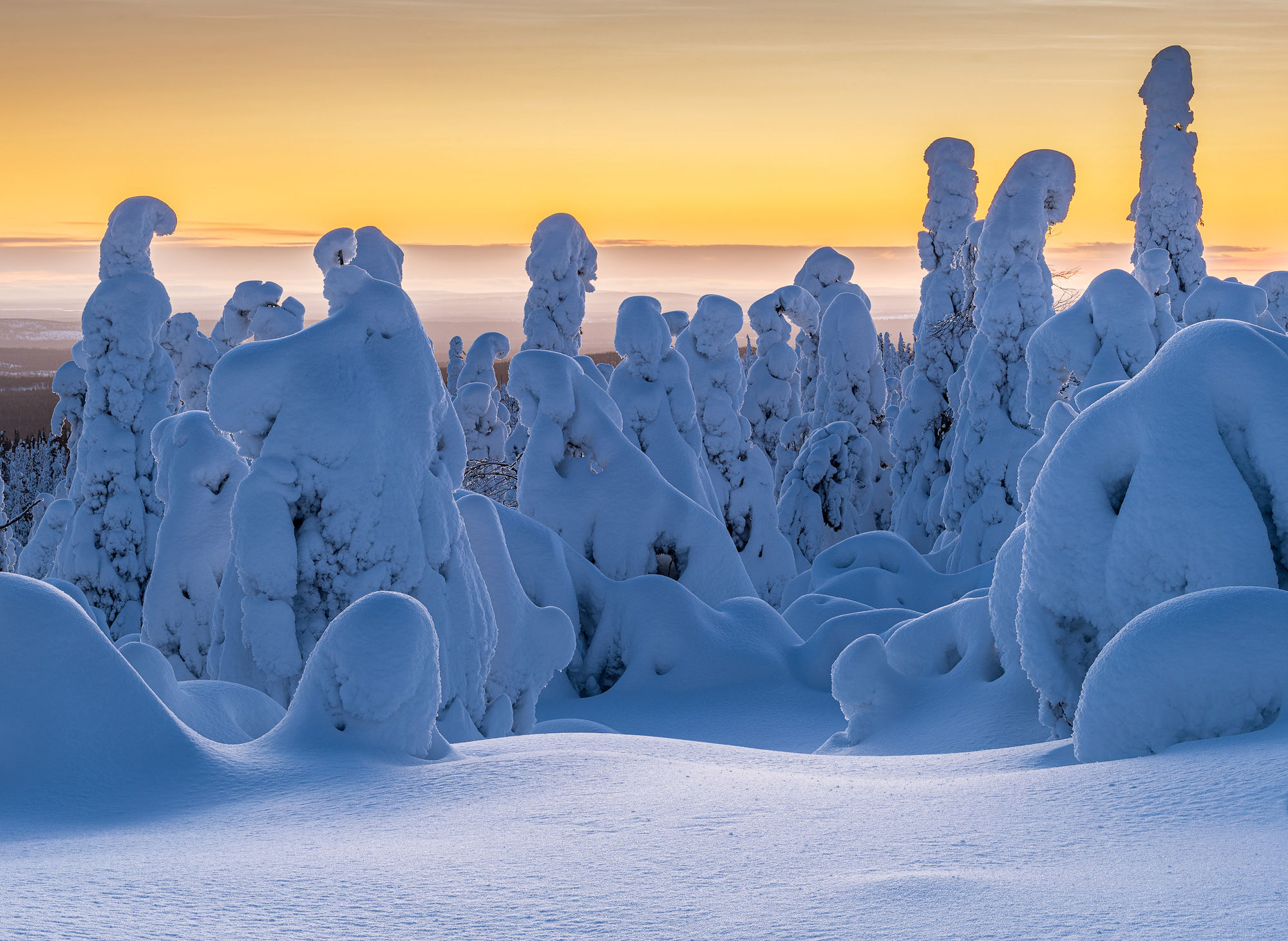 winter tykky sunset IGPOY