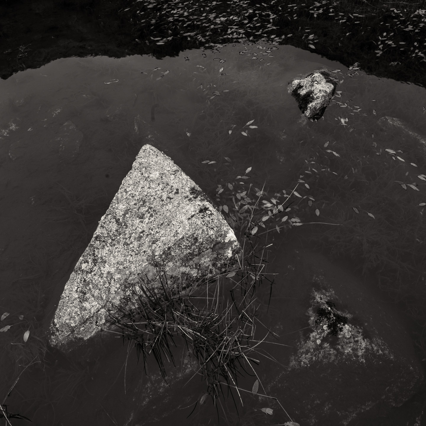 rock puddle