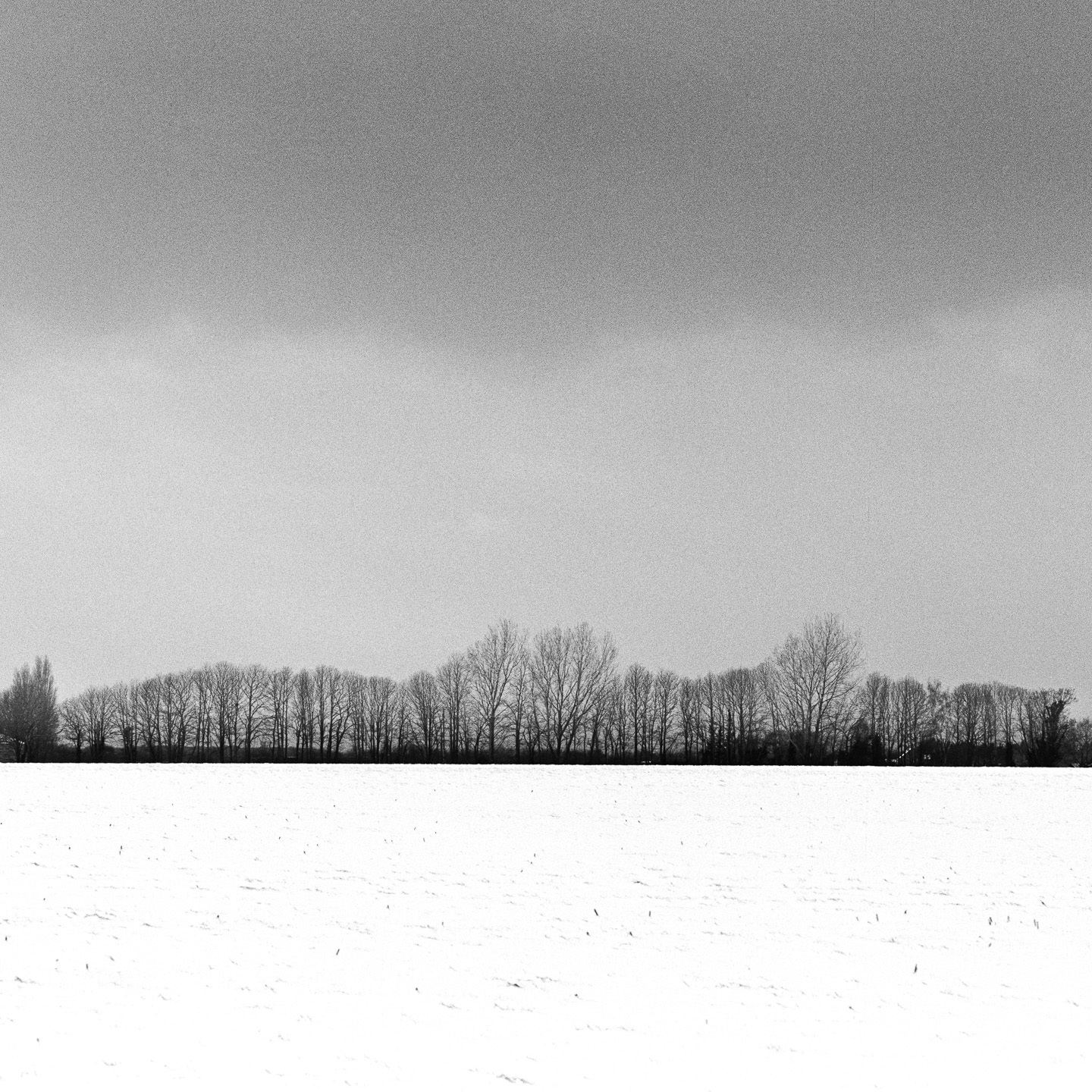 landscape snowstorm