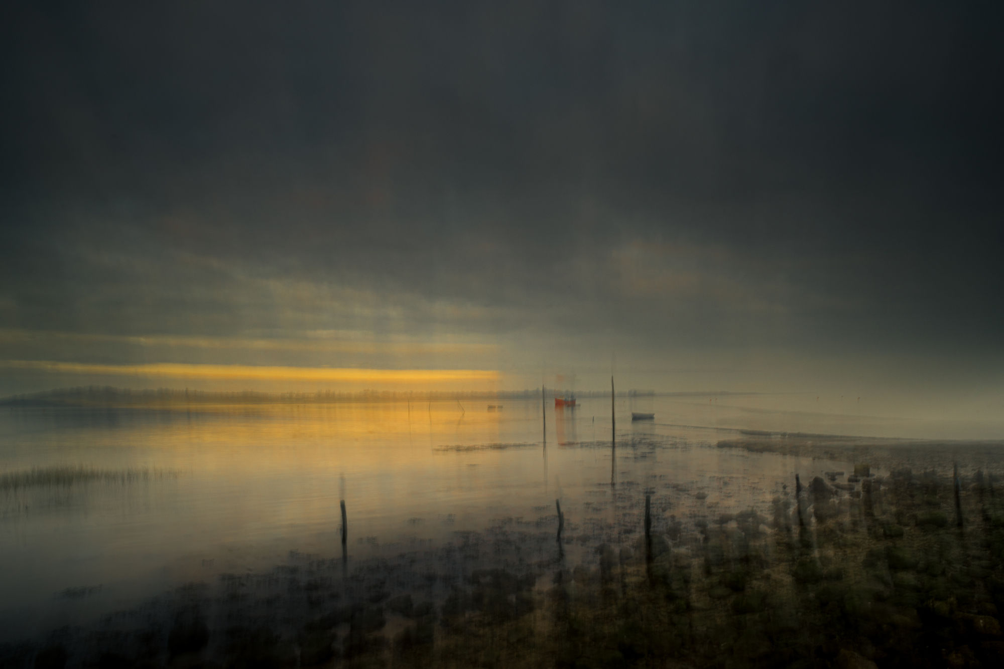 Marsh Light