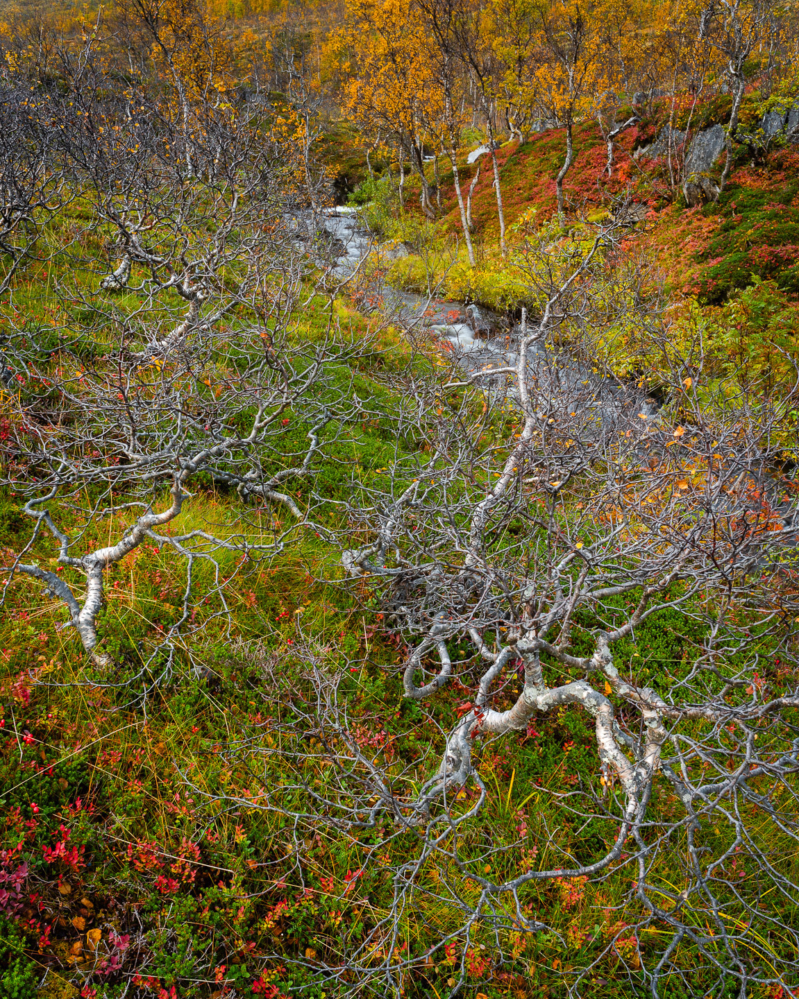 Senja valley
