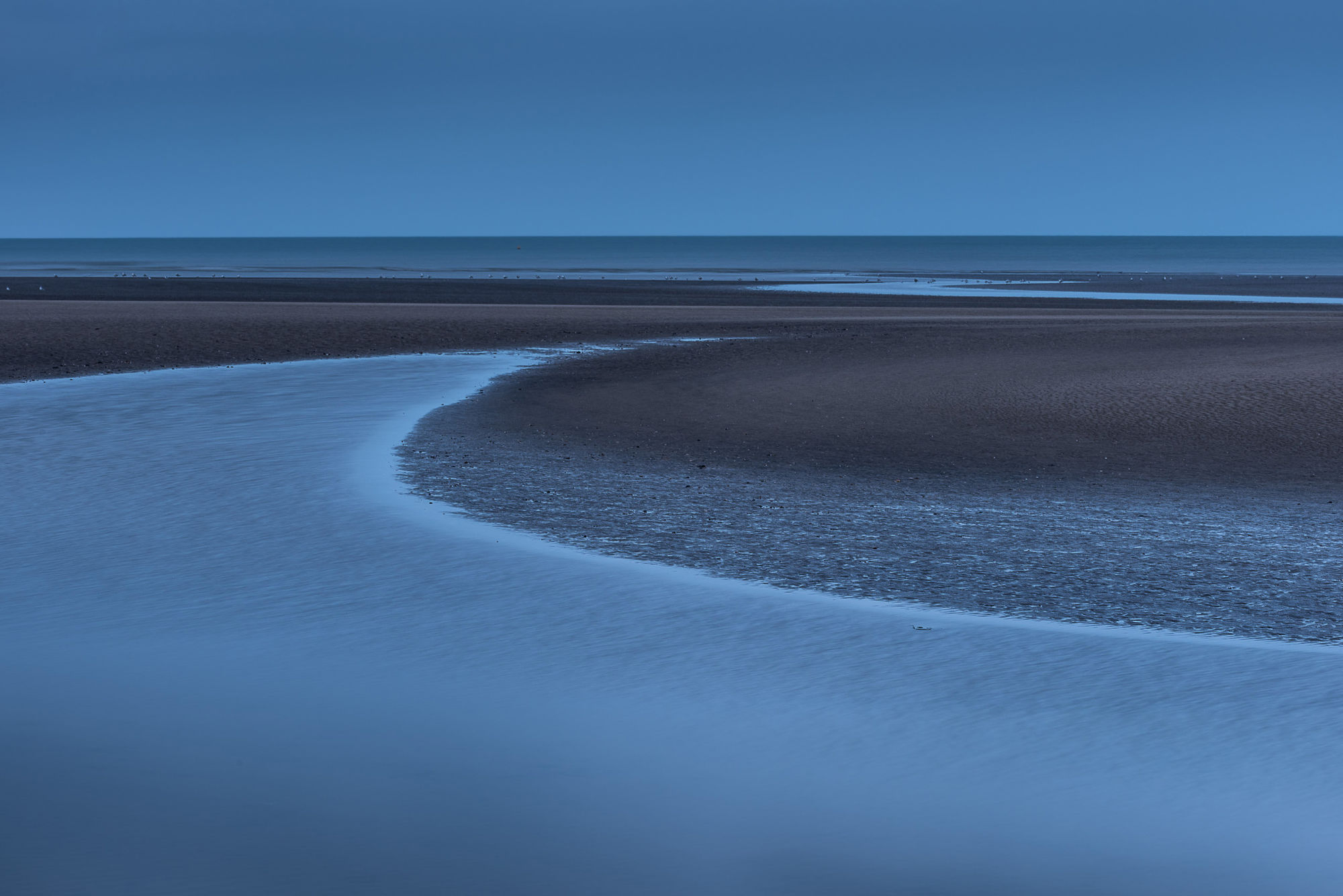 Camber sands dusk sweep