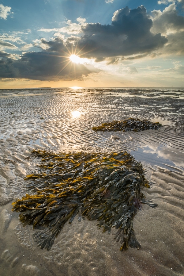 Spring evening Reculver, Kent