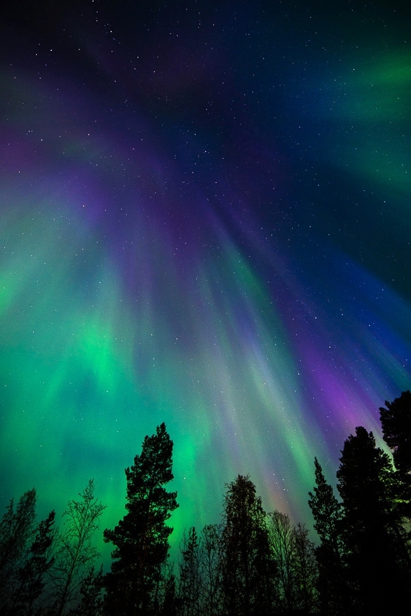 Northern Lights, Finland #8