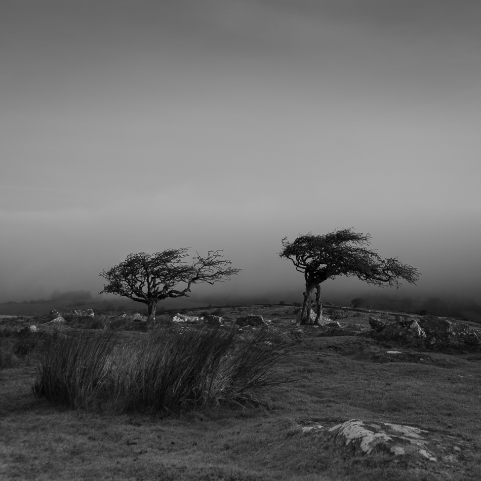 Nick Barber