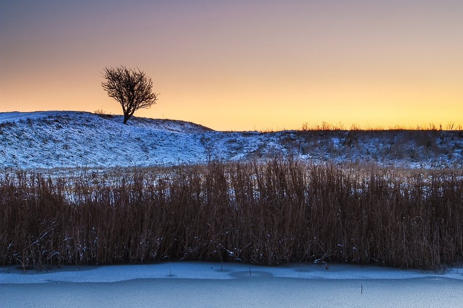 Winter dusk, Isle of Sheppey