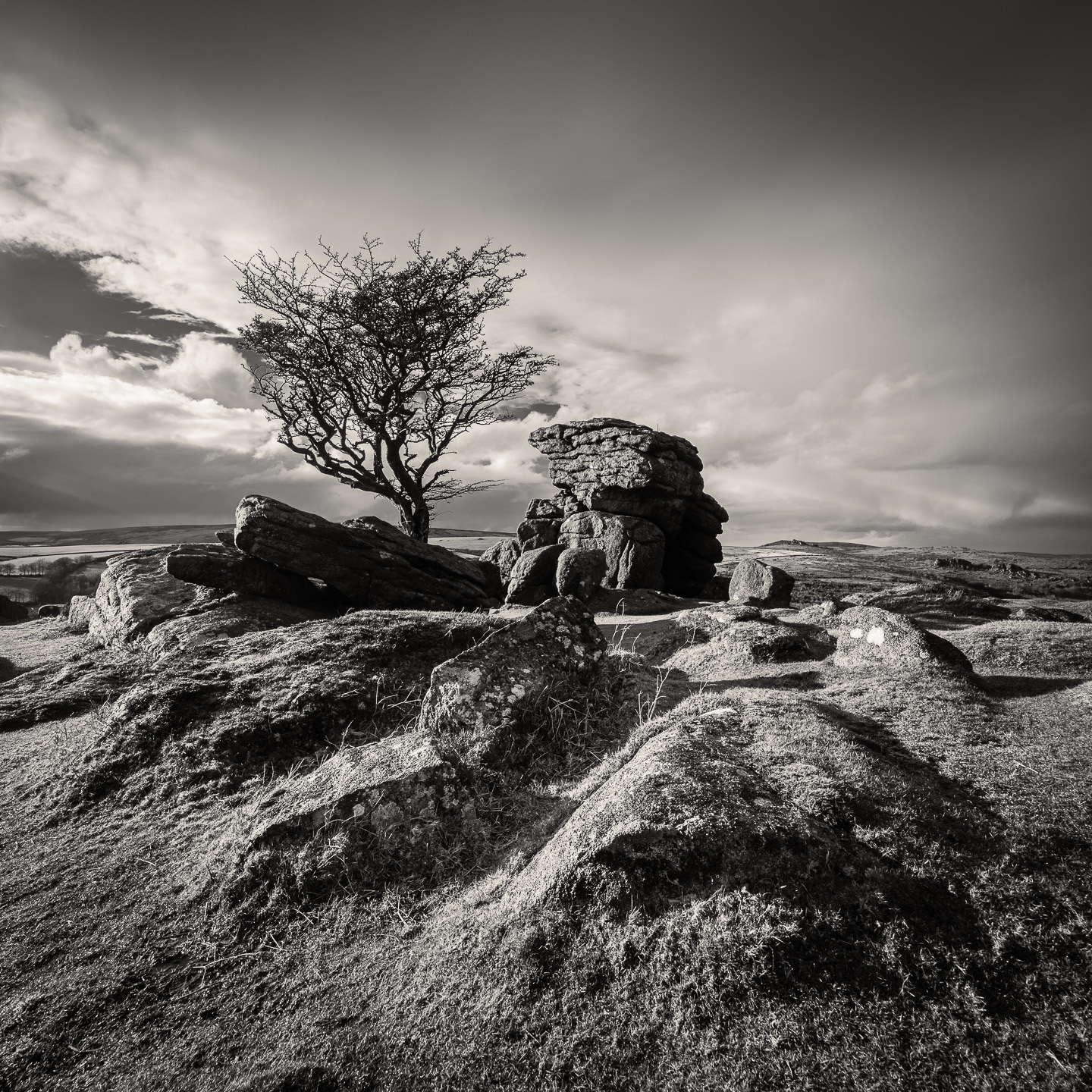 hawthorn tor