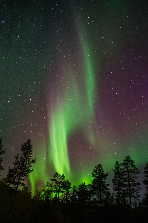 Northern Lights, Finland #7